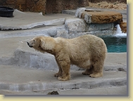 Zoo-Dec2013 (122) * 4896 x 3672 * (5.03MB)